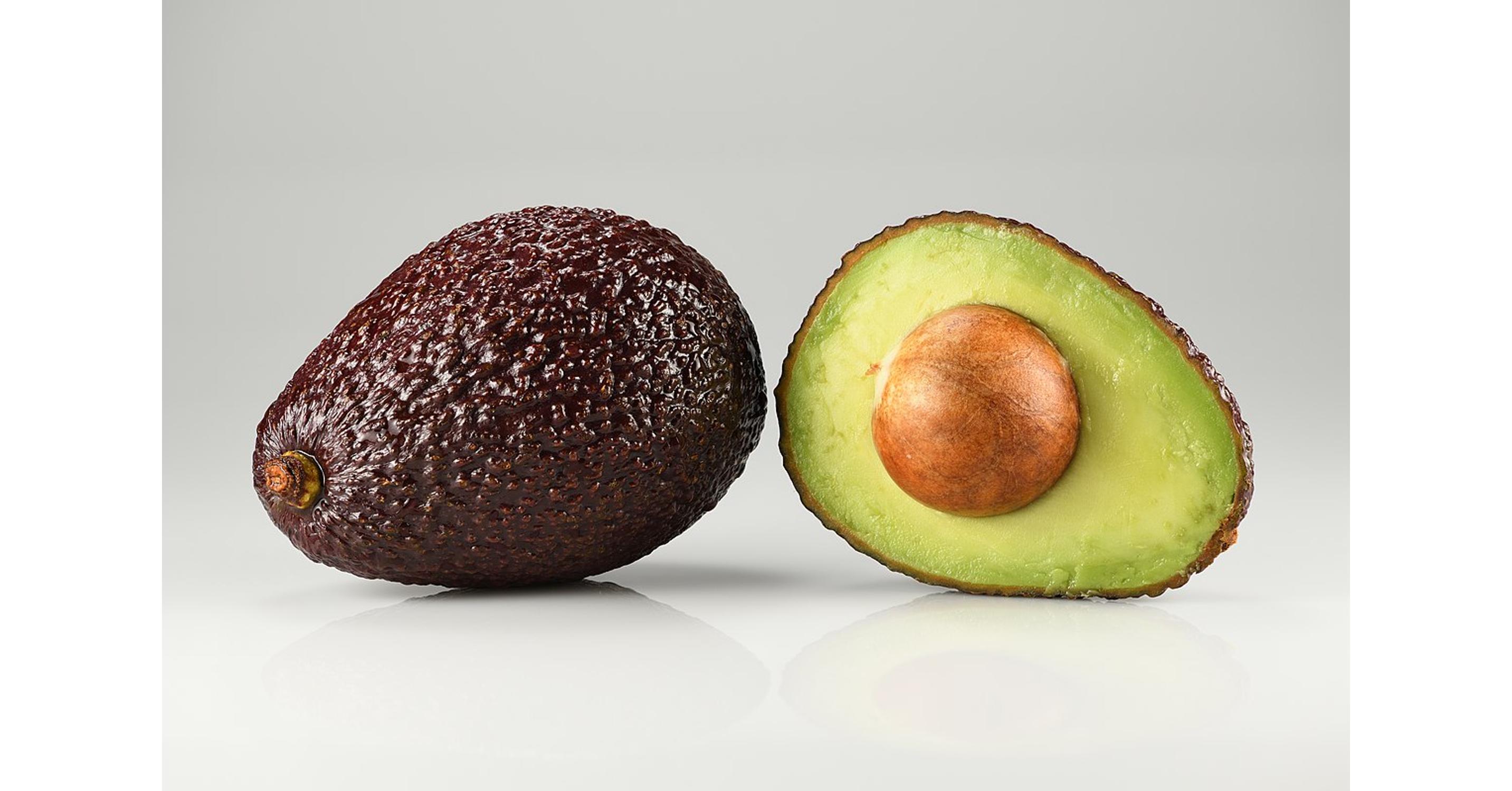 Avocado Hass fa eladó | Citrus és Pálma - Kertészet Webshop
